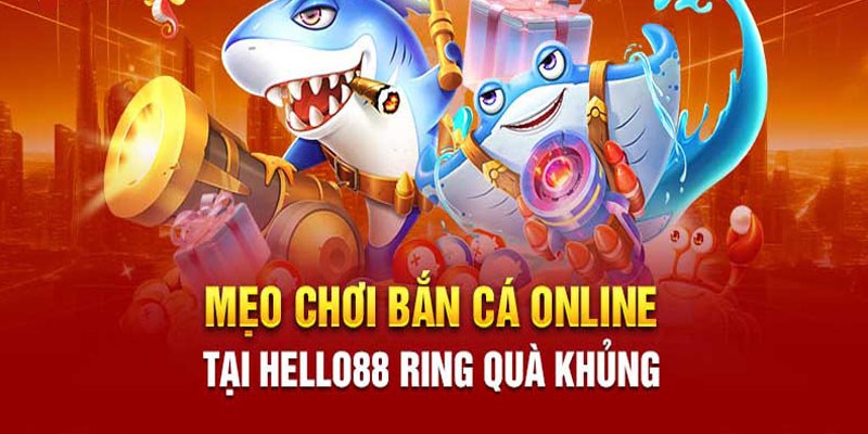 Những tips săn cá hiệu quả được sử dụng thành công nhất